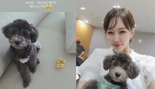 한영 인스타그램