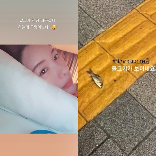 신주아 인스타그램