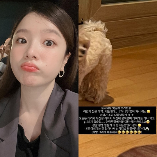 벤 인스타