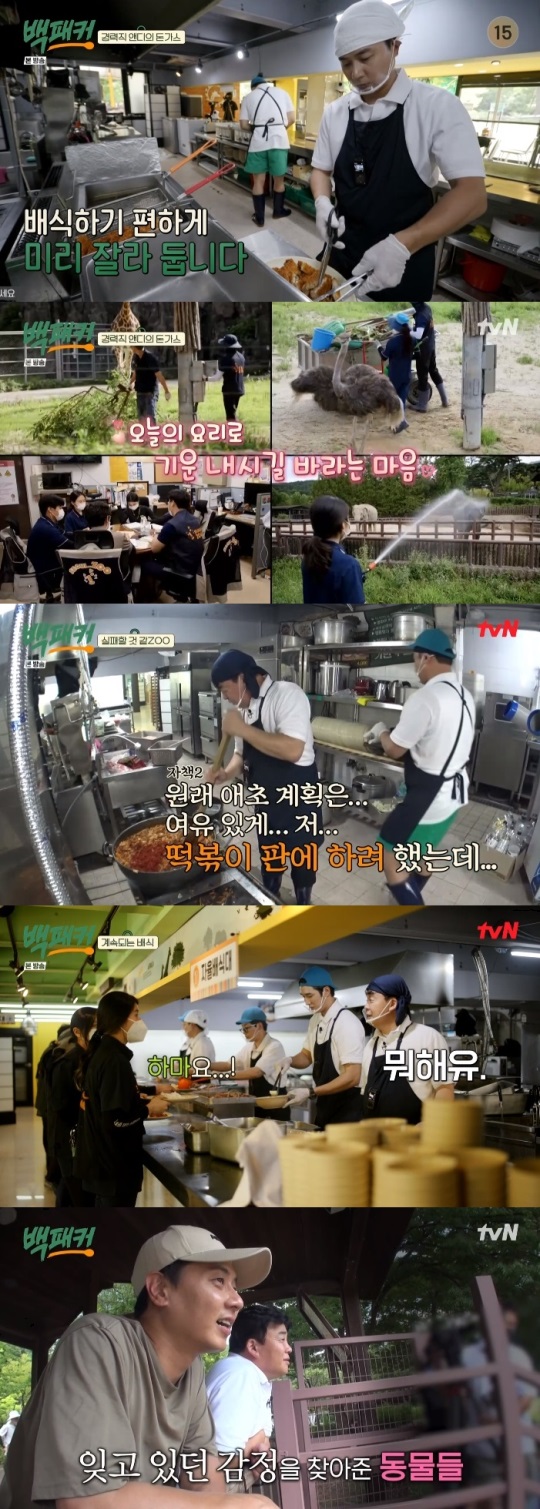 tvN '백패커' 방송캡쳐