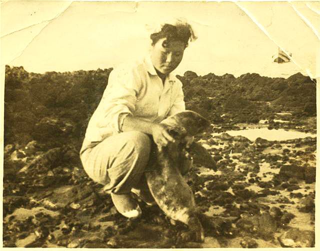 1950년대 경북 울릉군 독도에서 강치 새끼를 잡고 있던 해녀 김공자씨 모습. (경북도 제공)