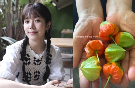 한지민 인스타그램