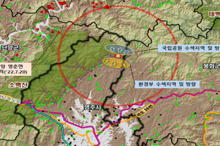 경상북도 영주시에서 처음으로 야생멧돼지 아프리카돼지열병이 확인됐다. 아프리카돼지열병 (중앙사고수습본부 제공)