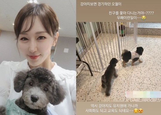 한영 인스타그램