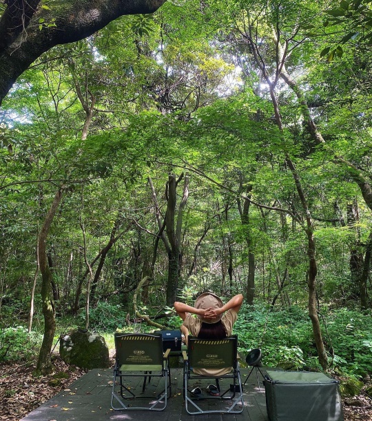 진재영 인스타그램