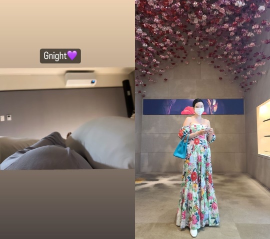장미인애 인스타 스토리