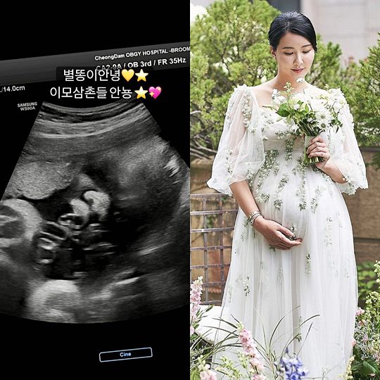 장미인애 인스타그램