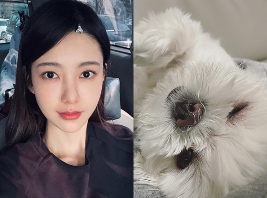 나혜미 인스타