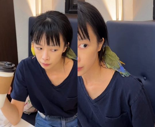 신지수 인스타