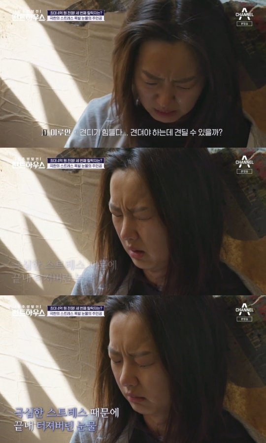 채널A '입주쟁탈전 펜트하우스' 캡처