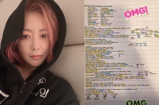 김희선 인스타