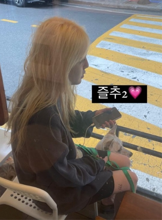 신지민 인스타 스토리