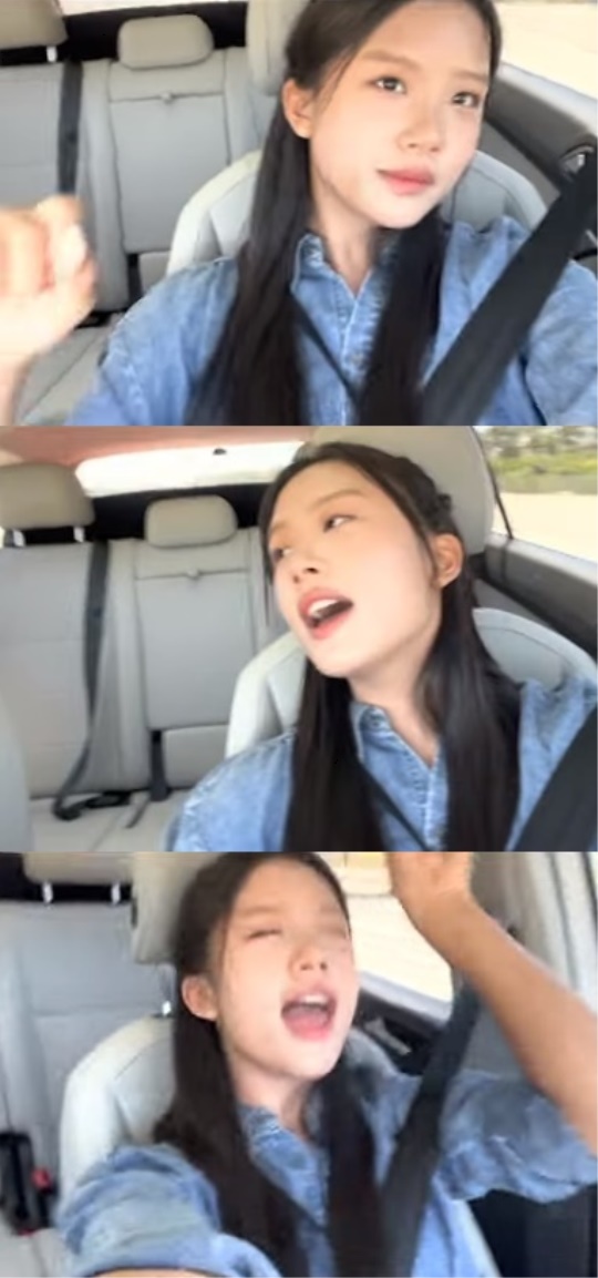 유튜브 캡처