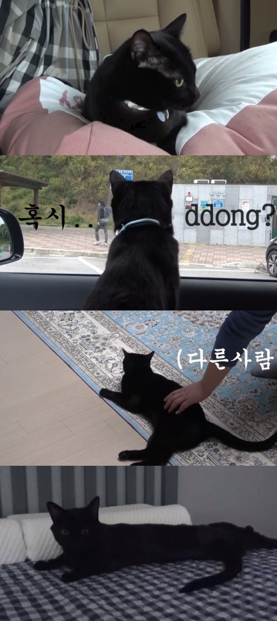 박수홍 유튜브 캡처