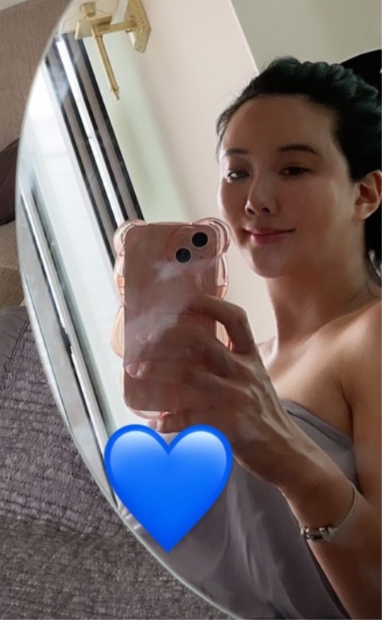 장미인애 인스타 스토리