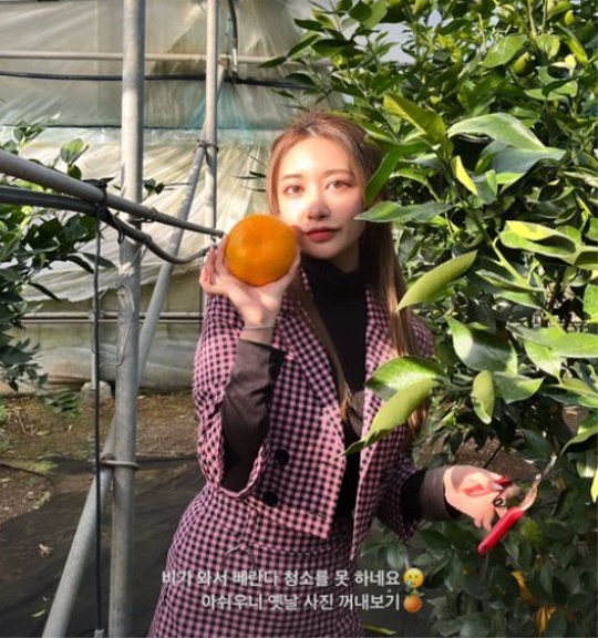 아야네 인스타그램