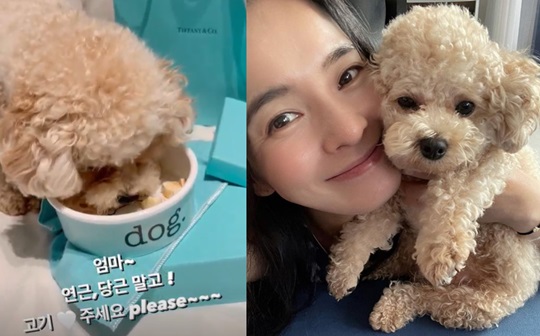정혜영 인스타그램