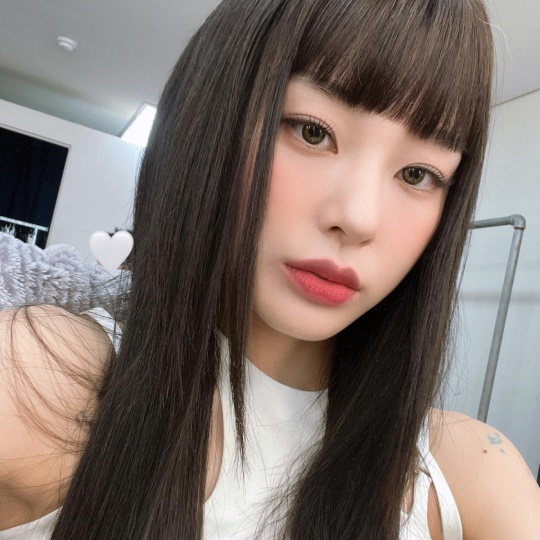 노제 인스타