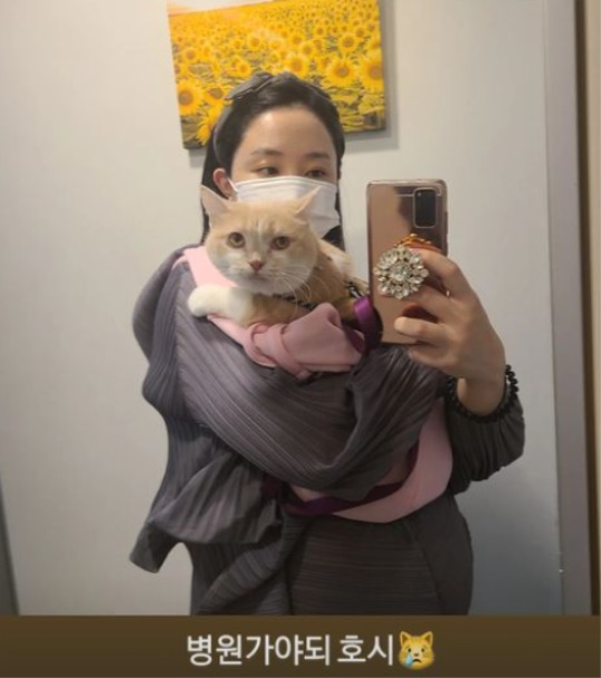 선데이 인스타그램