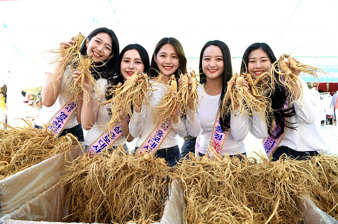 영주풍기인삼 홍보대사들이 '2019 영주 풍기인삼축제'에서 풍기인삼을 홍보하고 있다.