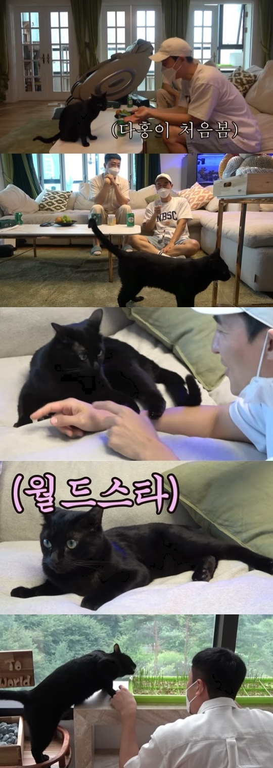 '검은고양이 다홍' 유튜브 캡처