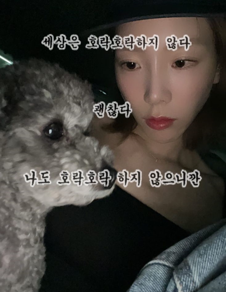 태연 인스타