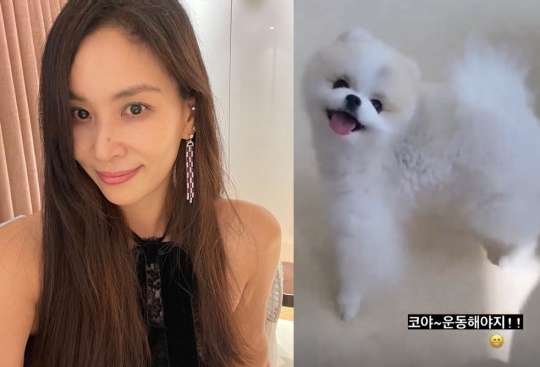 고소영 인스타그램