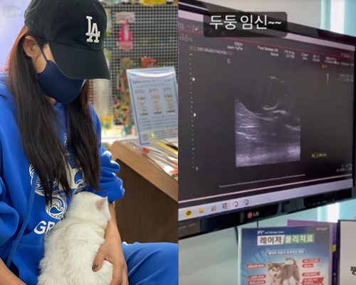 현영 개인 소셜 계정