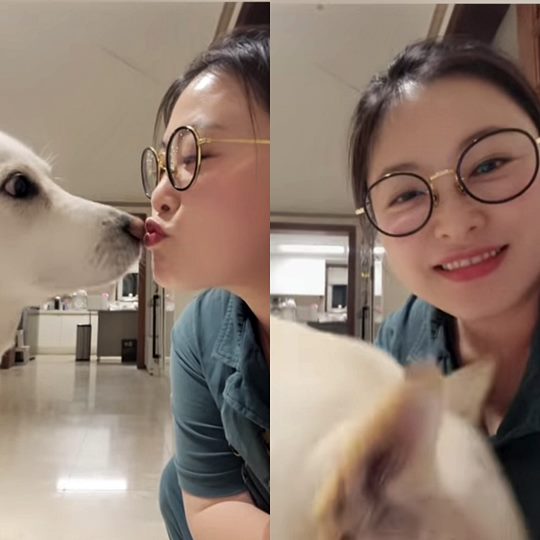 심진화 개인 계정