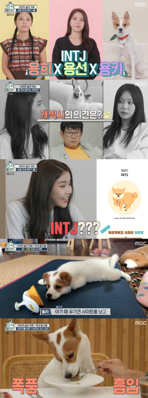 MBC '호적메이트' 방송화면 캡쳐