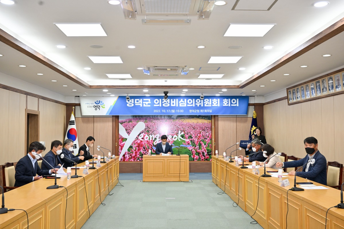 영덕군의정비심의위원회 회의 모습.[영덕군 제공]