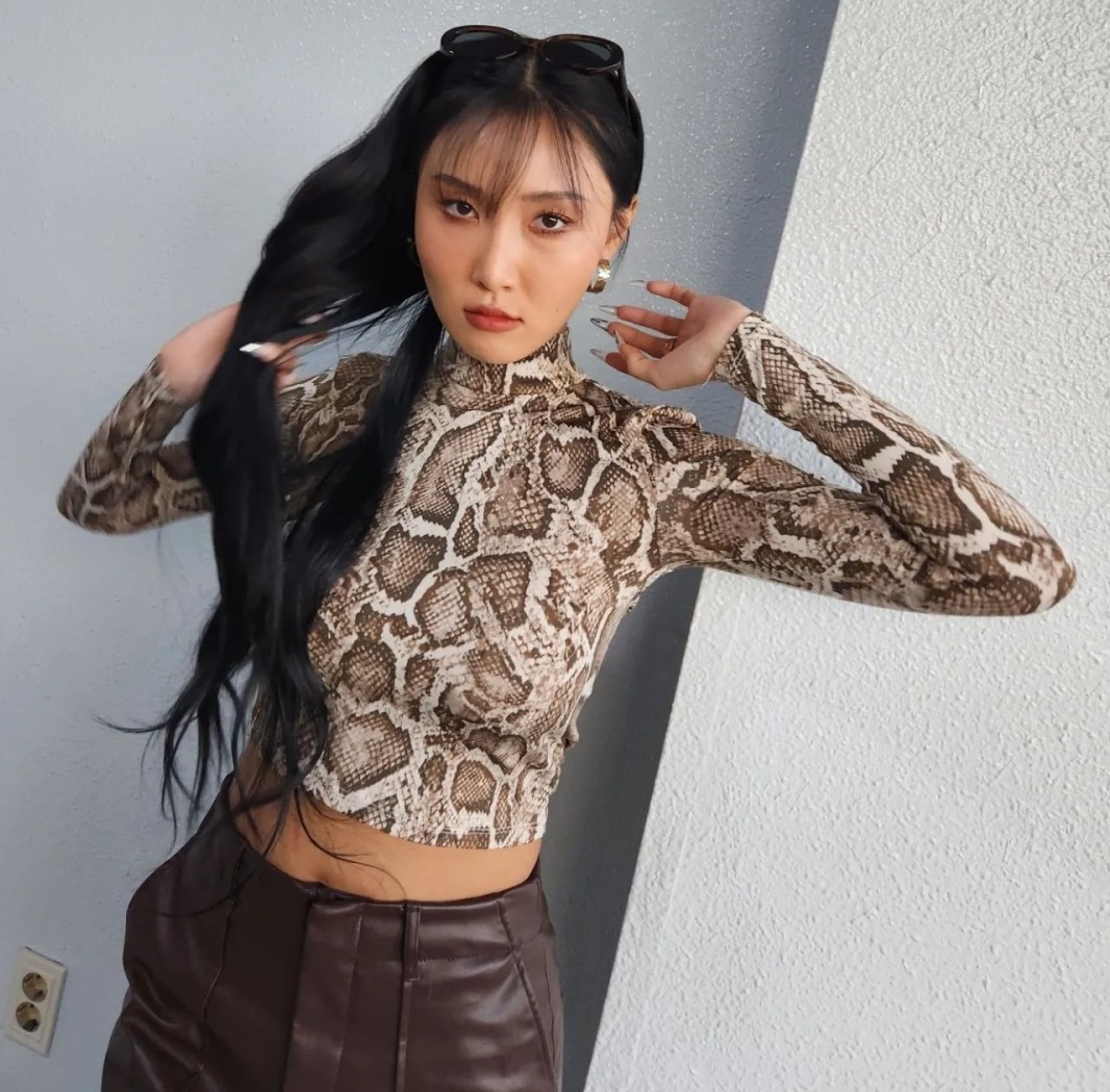 화사 채널