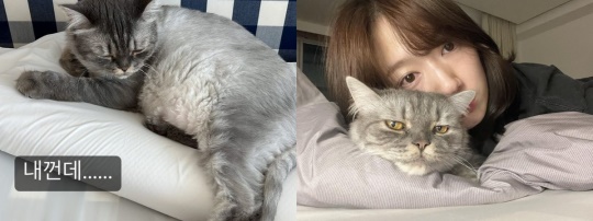 박신혜 채널