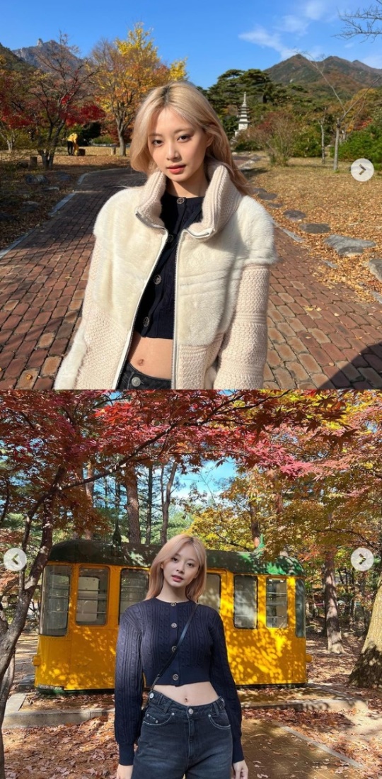 쯔위 채널
