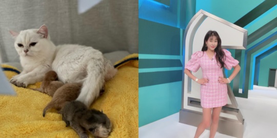 현영 채널