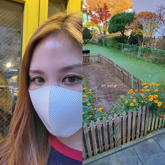 채리나 채널