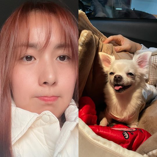 간미연 채널