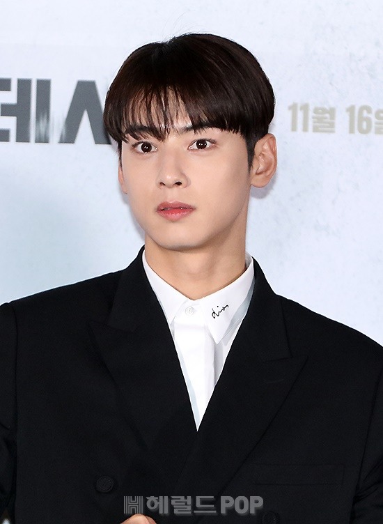 배우 차은우/사진=민선유 기자