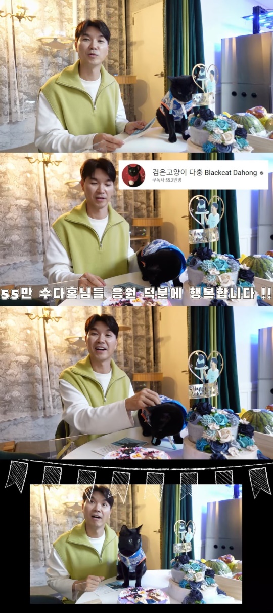 '검은고양이 다홍' 유튜브