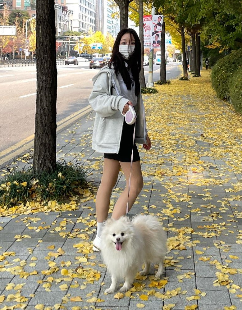정웅인 아내 채널