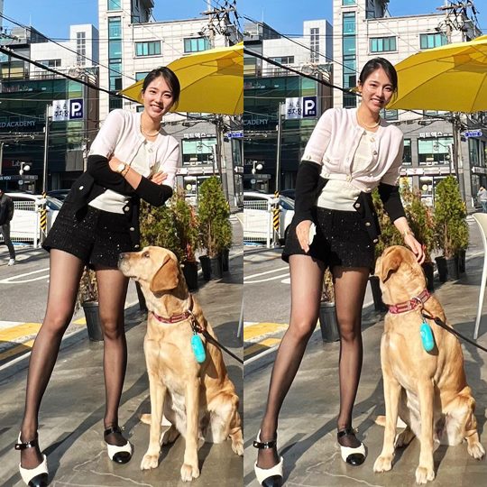 최선정 채널