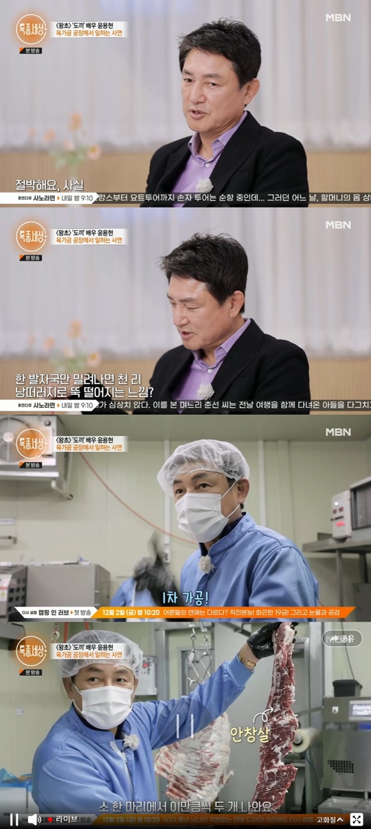 MBN '특종세상' 캡처
