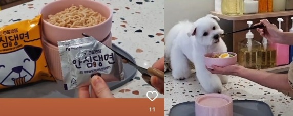 복합 펫용품점의 반려동물용 라면 시식 장면[공식 인스타그램]