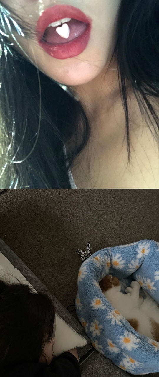 휘인 채널