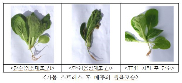 [국립낙동강생물자원관 제공]