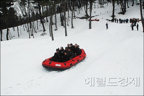 2008년 제1회 눈꽃축제 튜브 눈썰매 타기모습(헤럴드 DB)