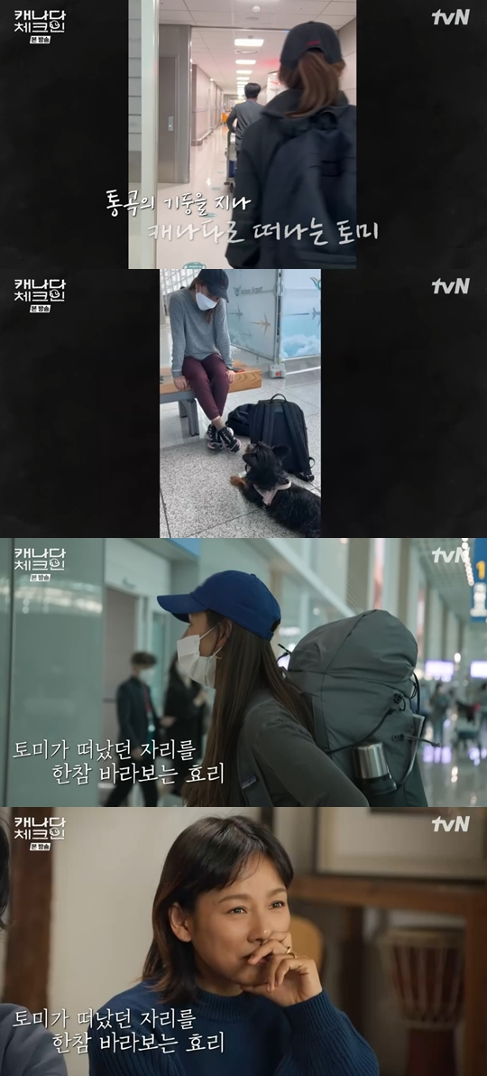 tvN '캐나다 체크인' 캡쳐