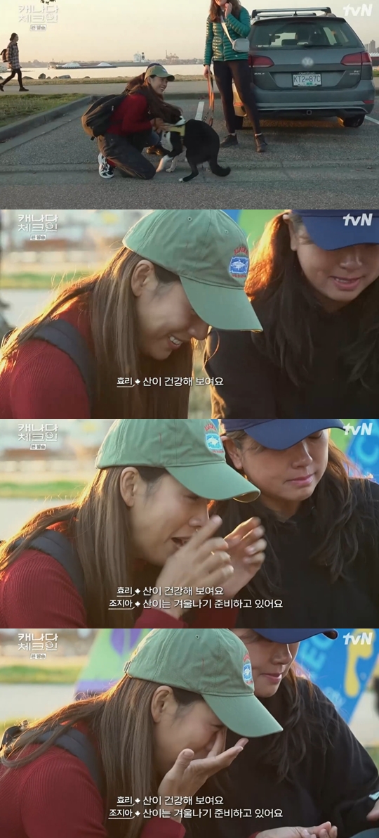 tvN '캐나다 체크인' 캡쳐