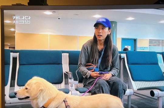배다해 채널