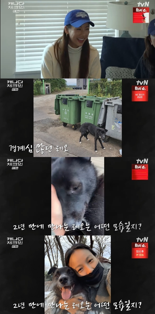 tvN '캐나다 체크인' 캡쳐